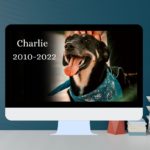 Honouring Charlie 2022