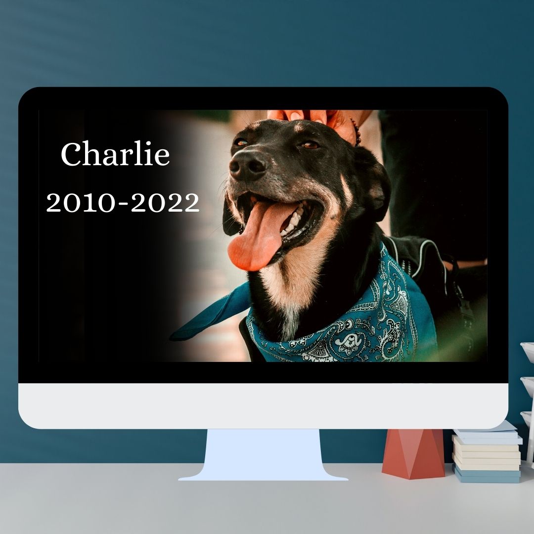 Honouring Charlie 2022